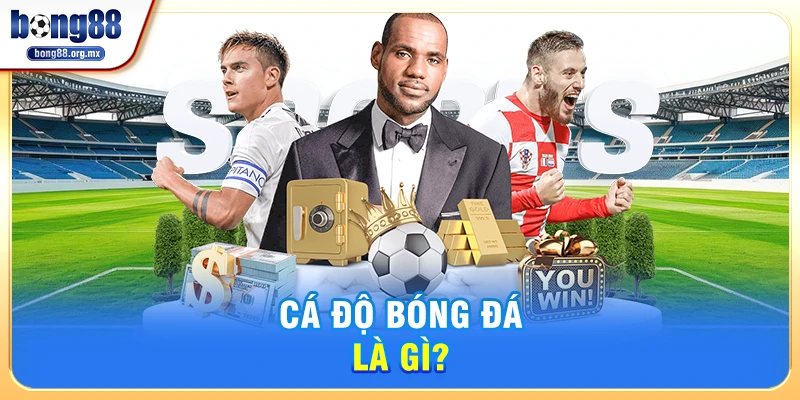 Cá Độ Bóng Đá Là Gì?